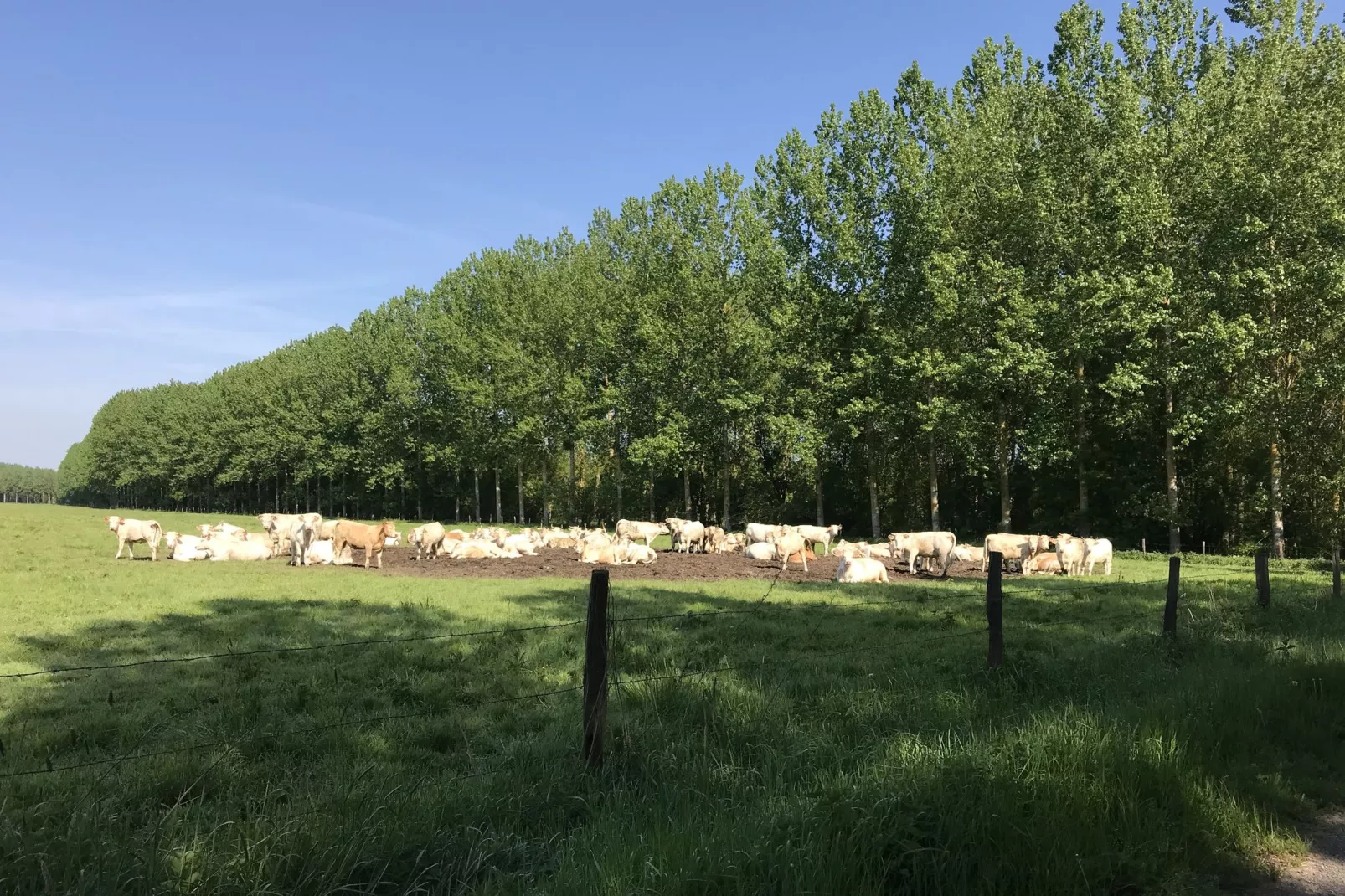 Maison de vacances Cinais-Gebieden zomer 1km