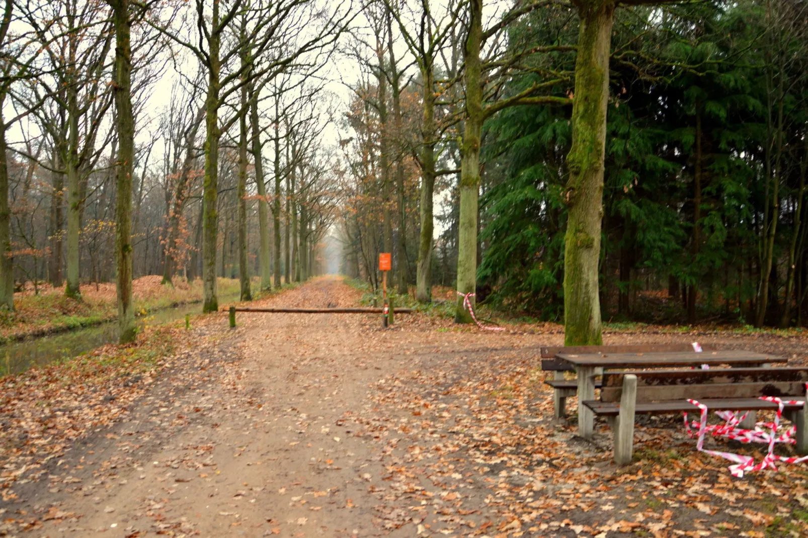 Panweg 14-Gebieden zomer 1km