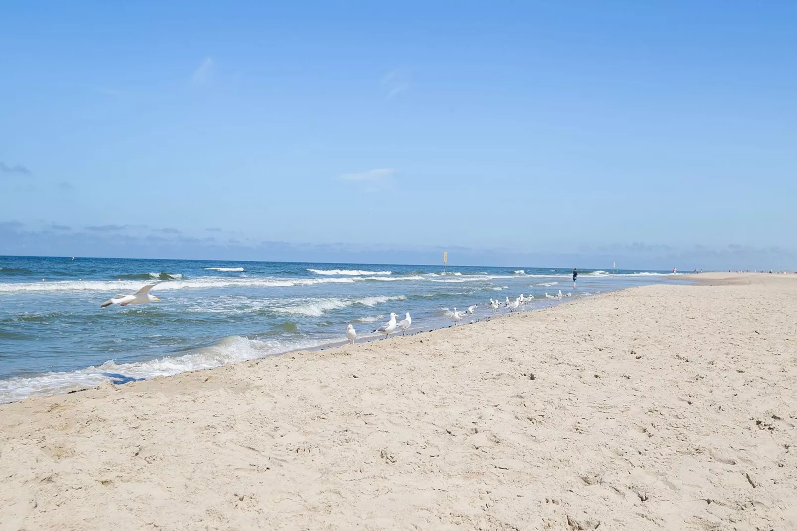 Duynpark Het Zwanenwater Juttershut-Gebieden zomer 5km