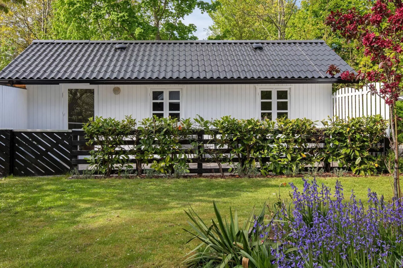 8 persoons vakantie huis in Strøby-Uitzicht