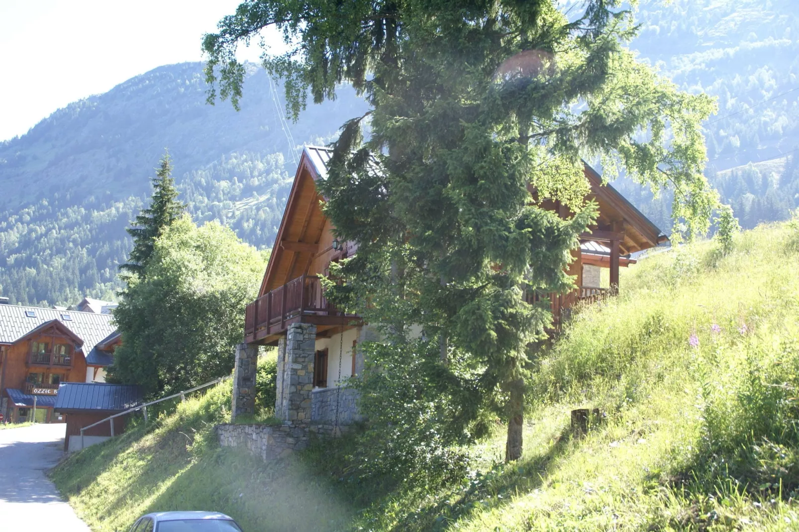 Chalet - Oz-en-Oisans