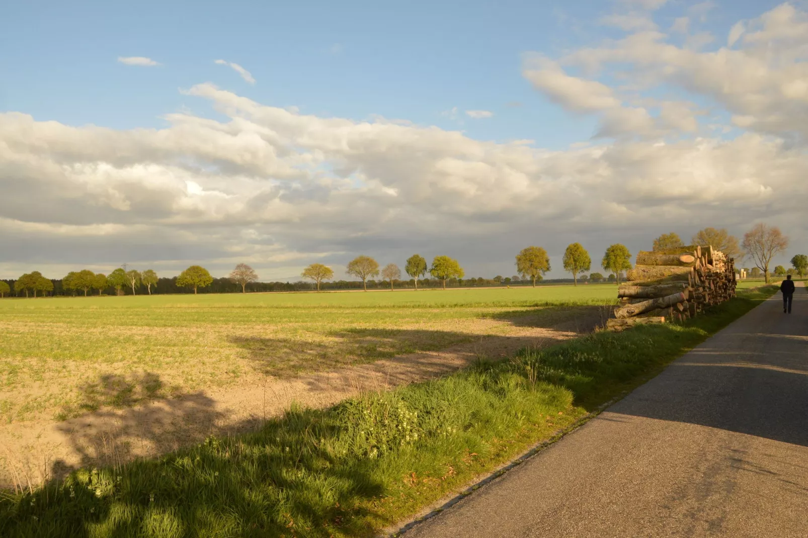 Bi-j Moppe Door-Uitzicht zomer