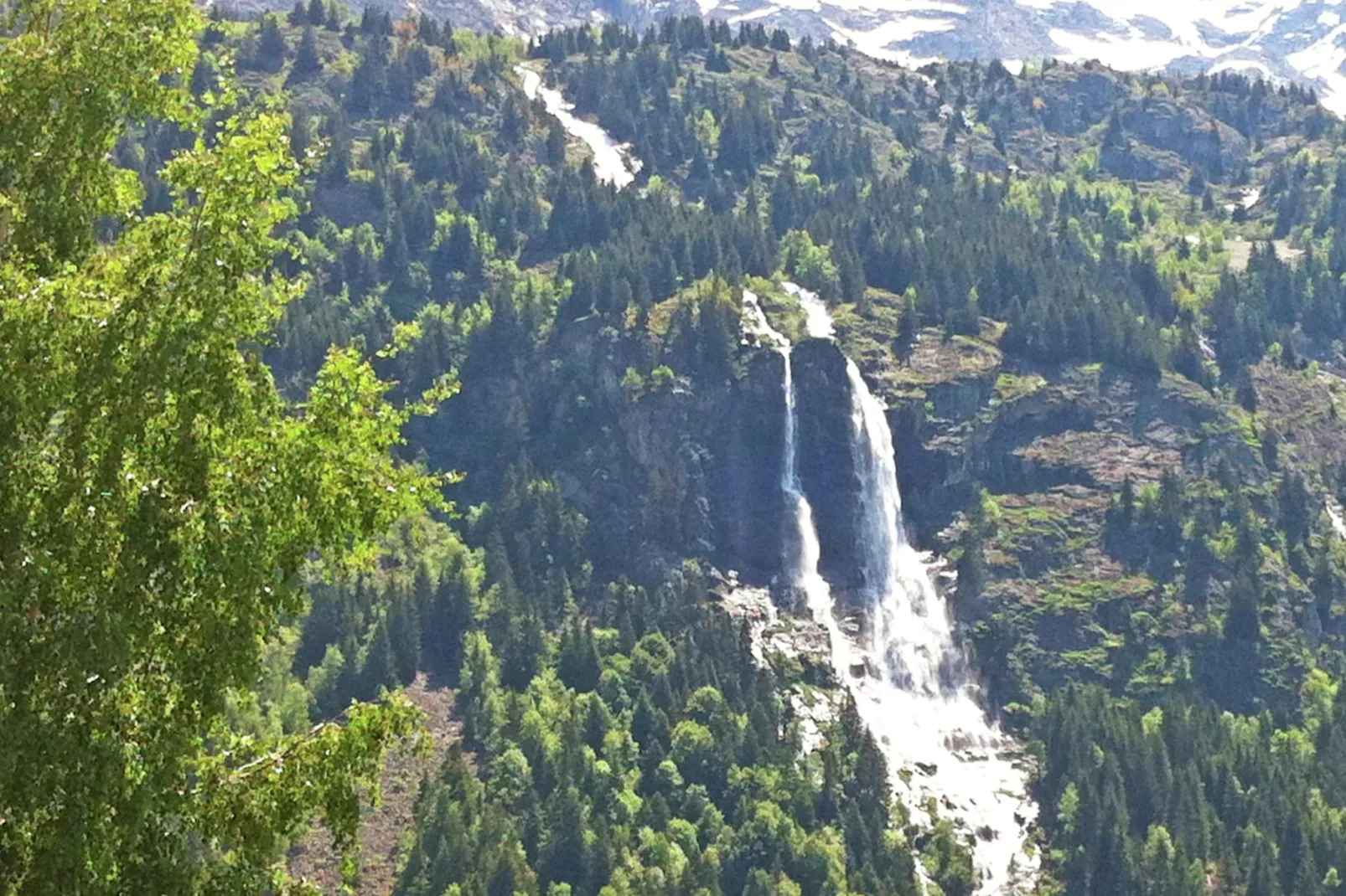 Ysengrin