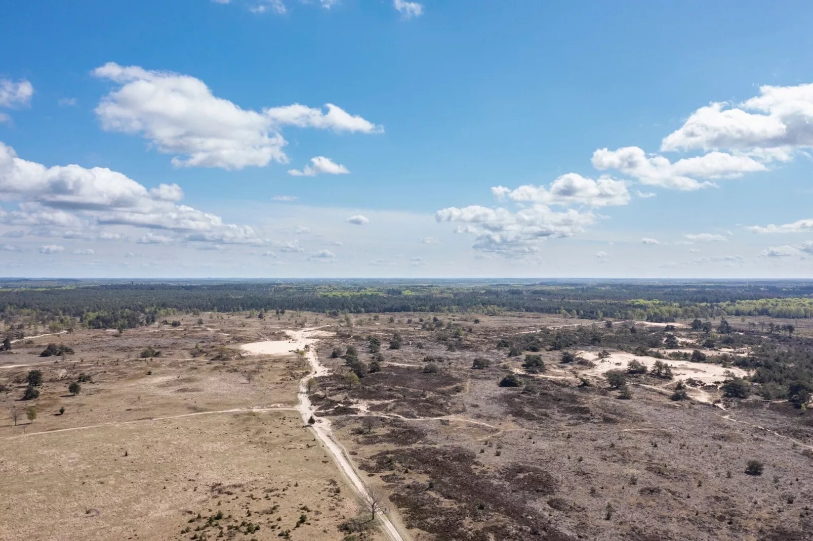 Resort Brinckerduyn 1-Gebieden zomer 5km