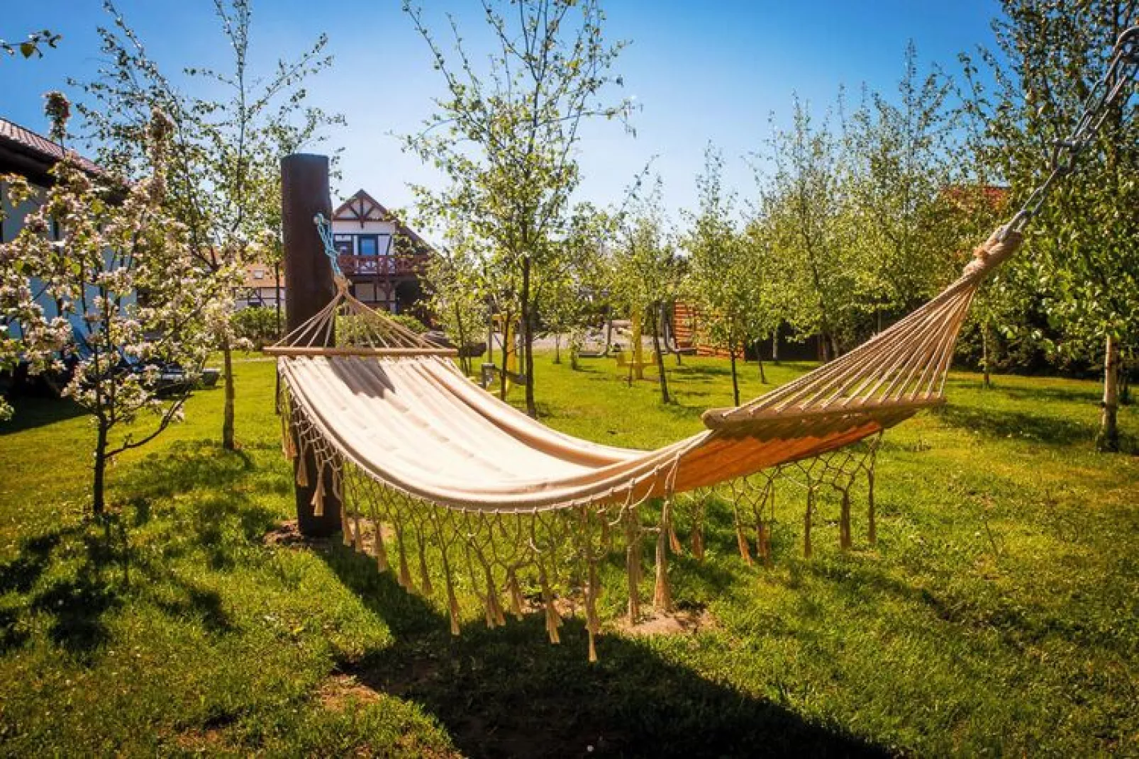 Apartament Darłowo-Tuinen zomer