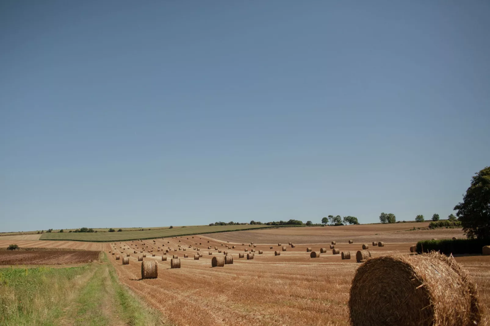 Maison de vacances - LE PONCHEL-Gebieden zomer 5km