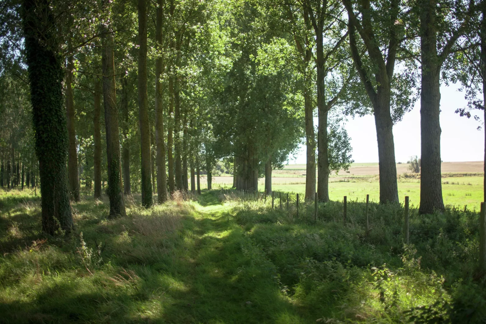 Maison de vacances - LE PONCHEL-Gebieden zomer 20km