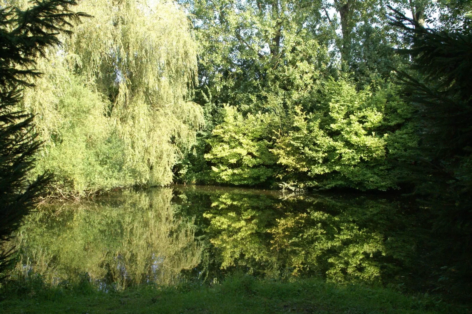 Maison de vacances - LE PONCHEL-Uitzicht zomer