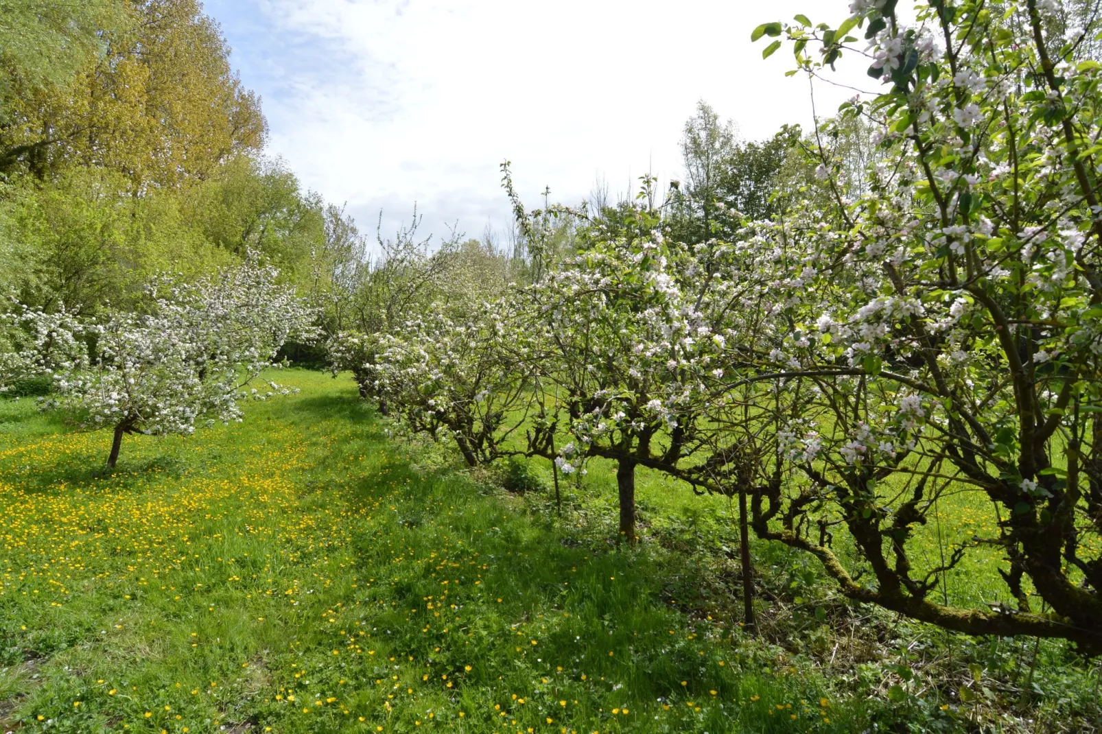 Domaine Les Ziettes-Tuinen zomer