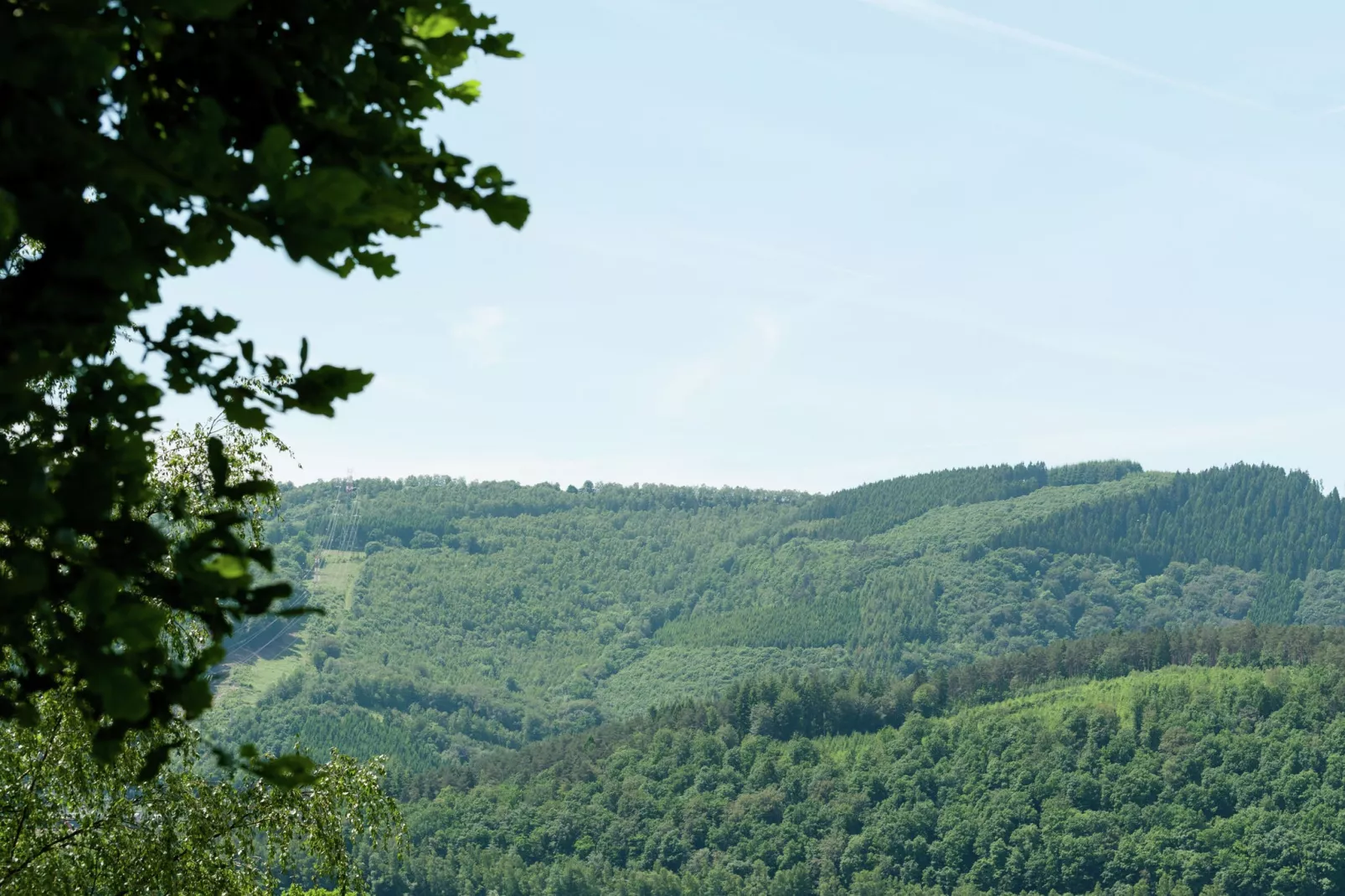 Le Vieux Sart 29-Gebieden zomer 1km