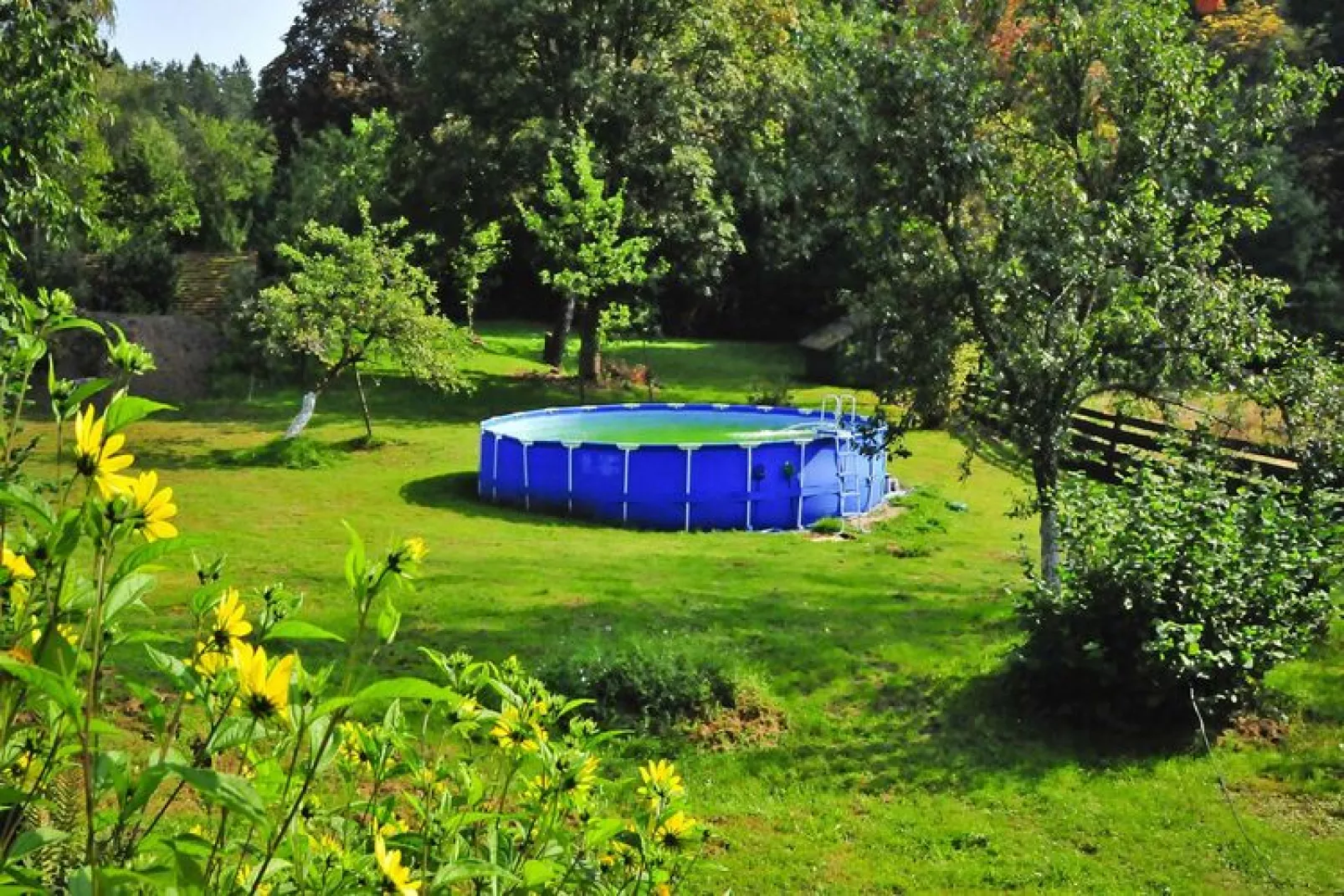 Dom Wakacyjny Stołpie-Tuinen zomer