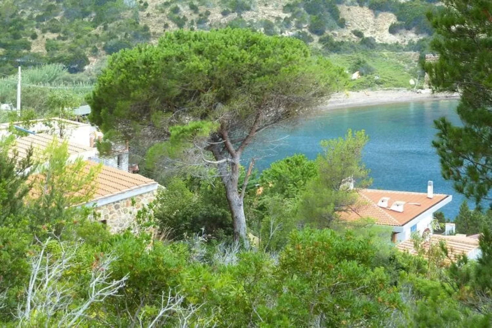Ferienresidence La Cota Quinta Rio nell'Elba Typ Bilo Super 4 - vistamare-Waterzicht