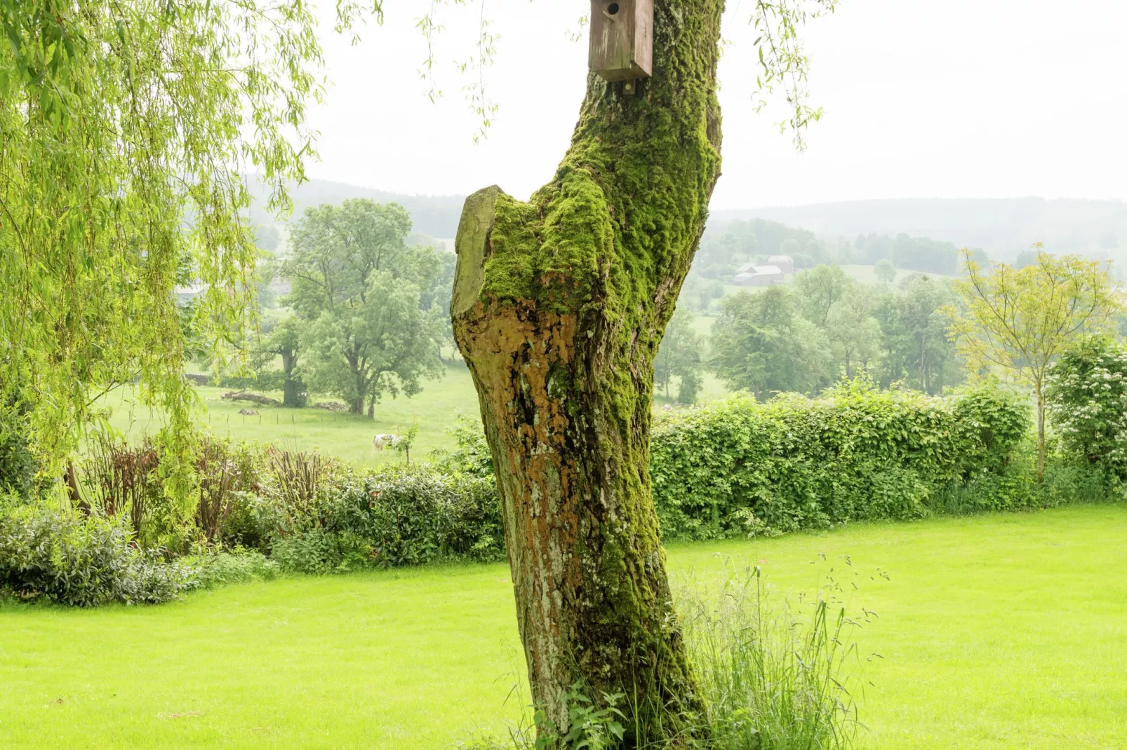Ferme Bellevue-Sfeer