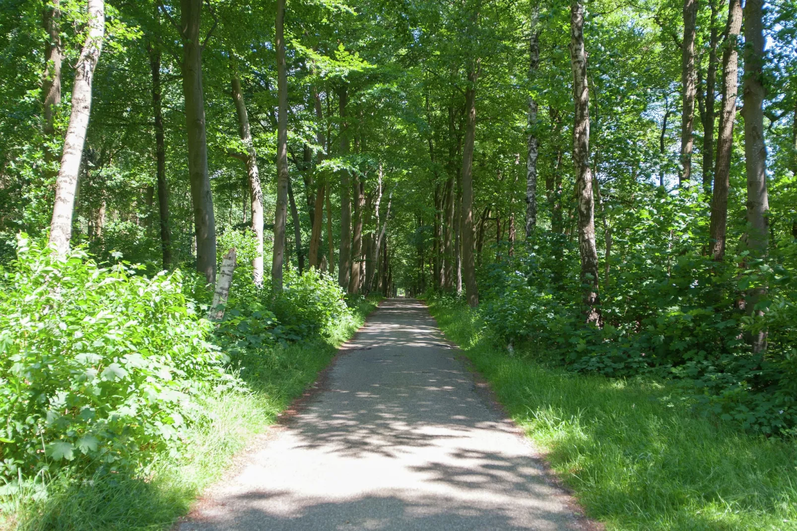 De Meerkoet-Gebieden zomer 5km