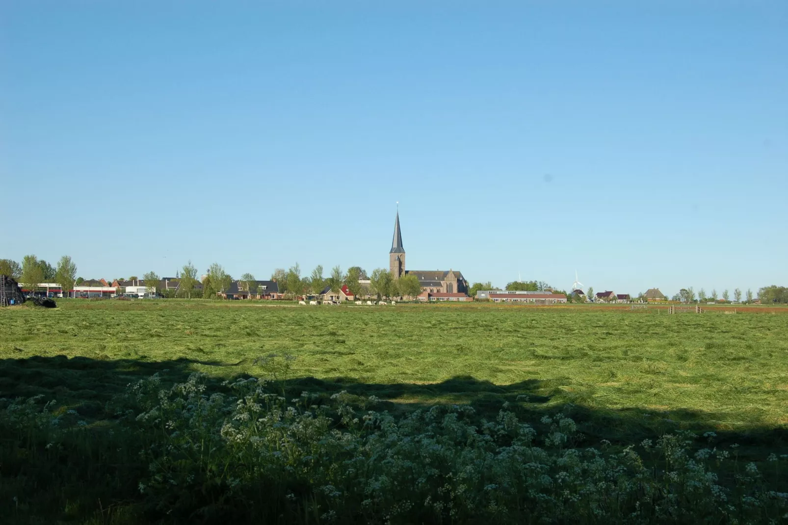 Berkenhof-Gebieden zomer 1km