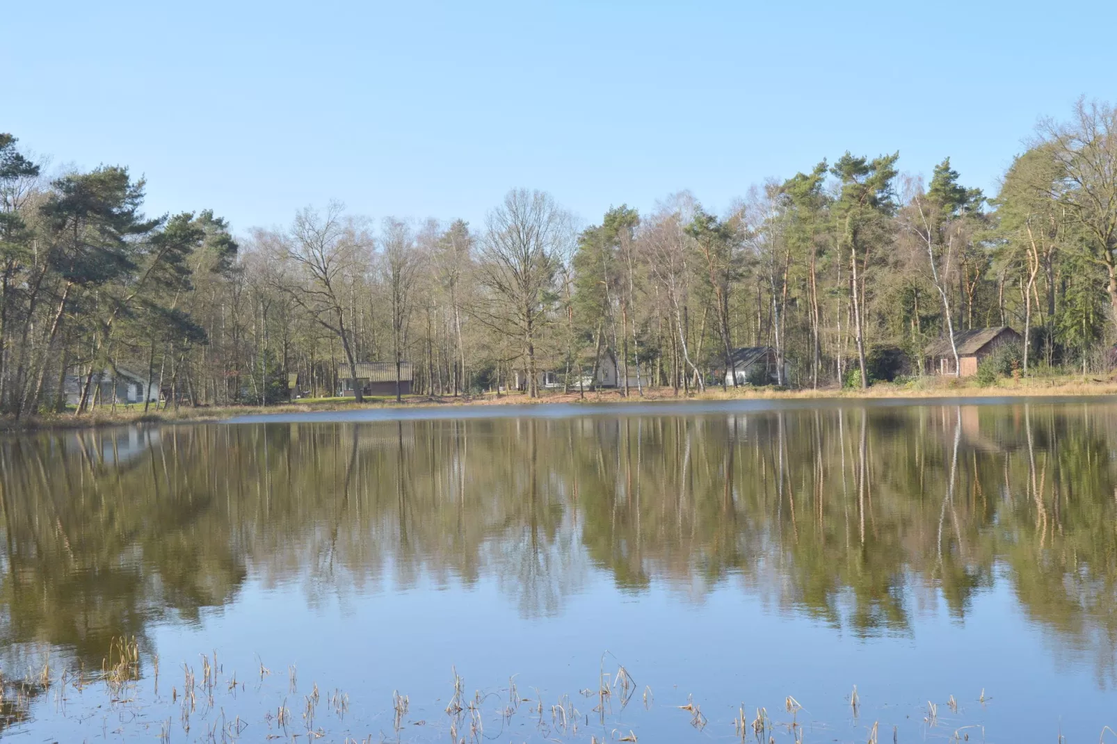 Bungalow 28-Gebieden zomer 1km