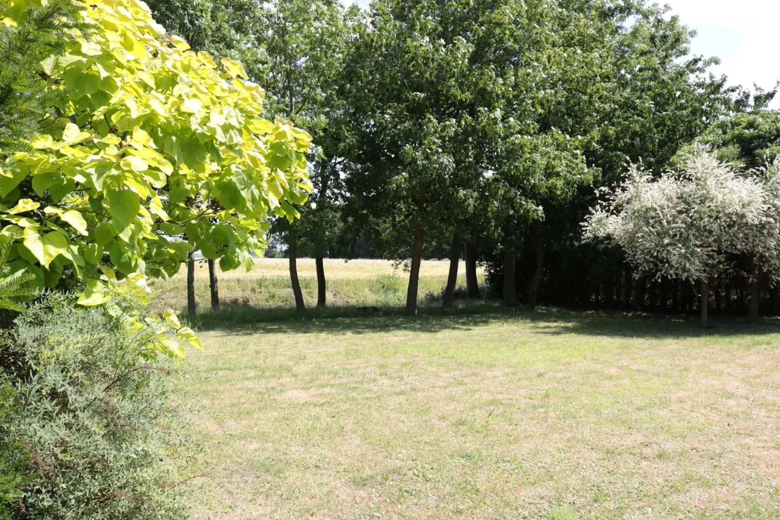 Recreatiepark de Friese Wadden 1-Tuinen zomer