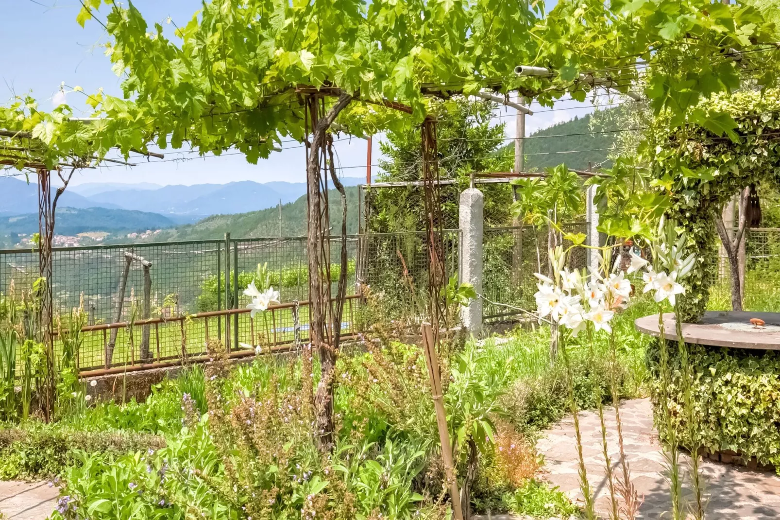 Villa Cerignano-Tuinen zomer