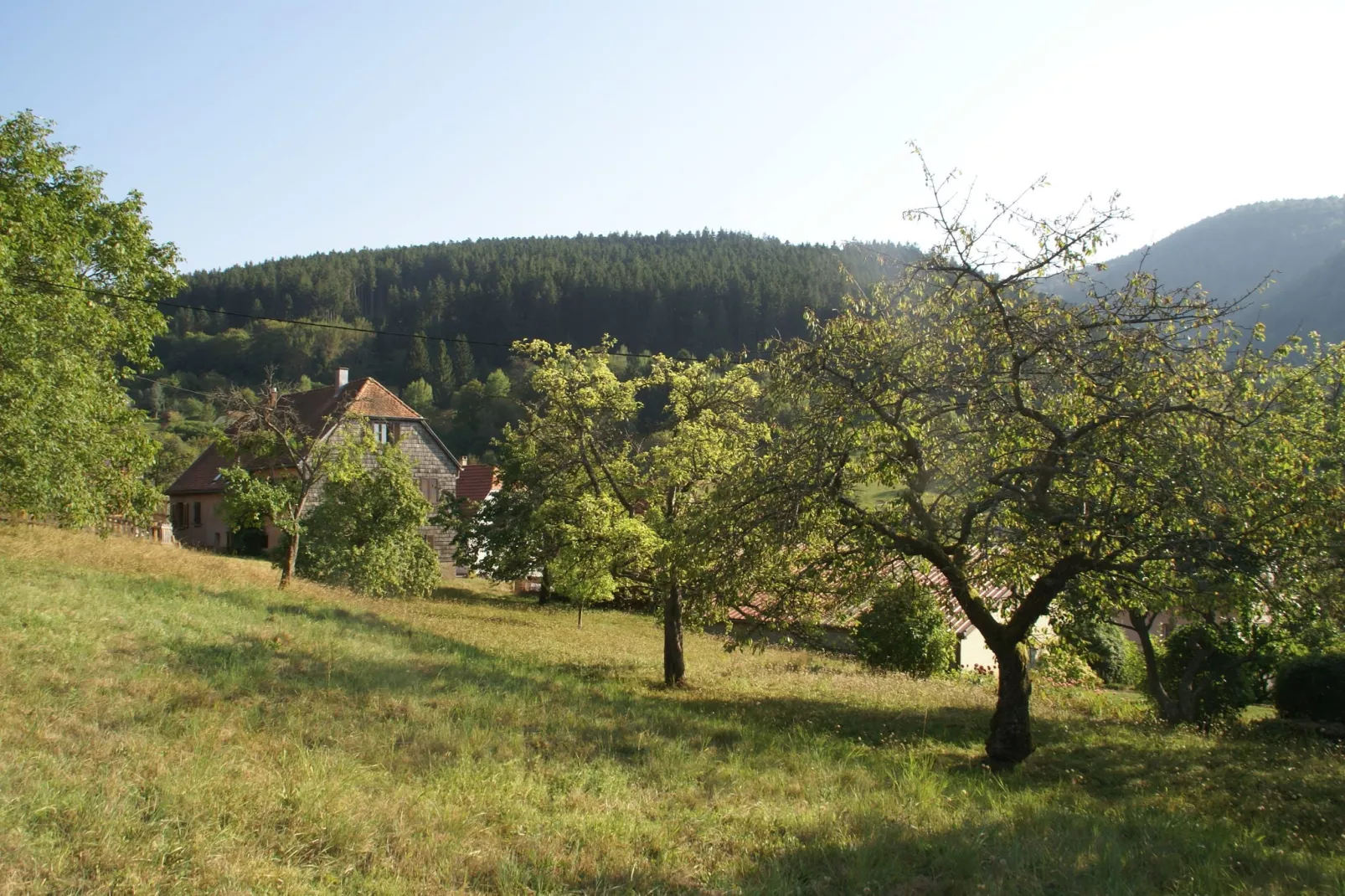 Maison de vacances - NATZWILLER-Uitzicht zomer