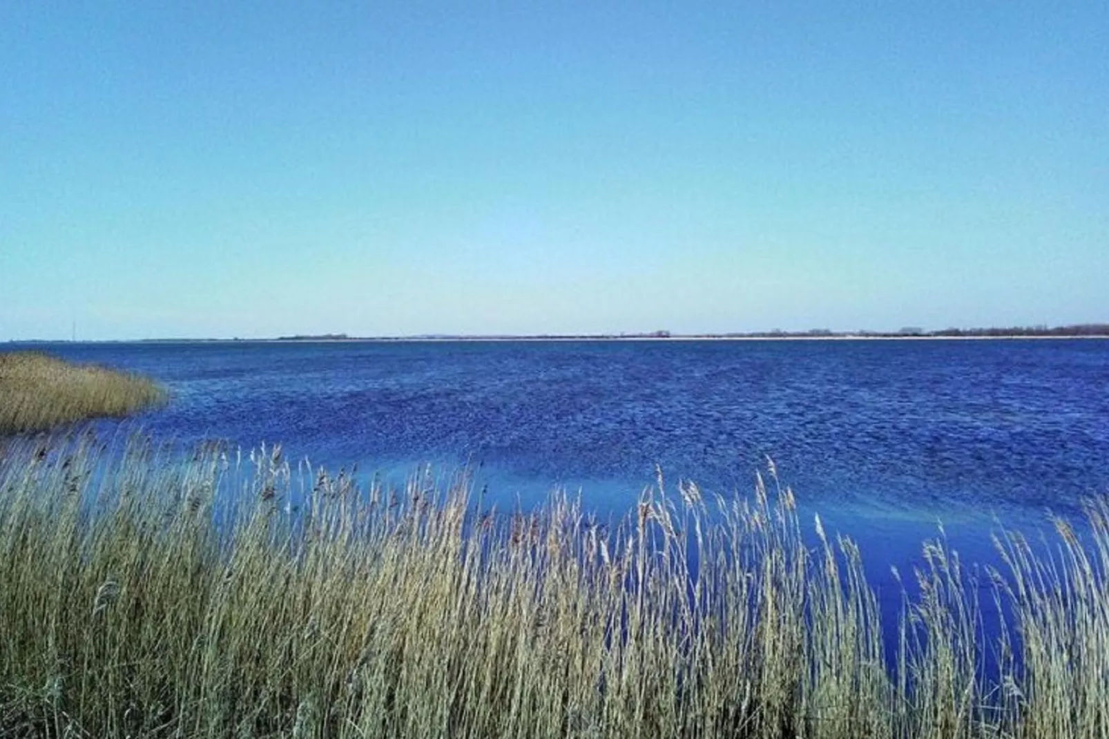 Haus am Boddenufer-Gebieden zomer 1km