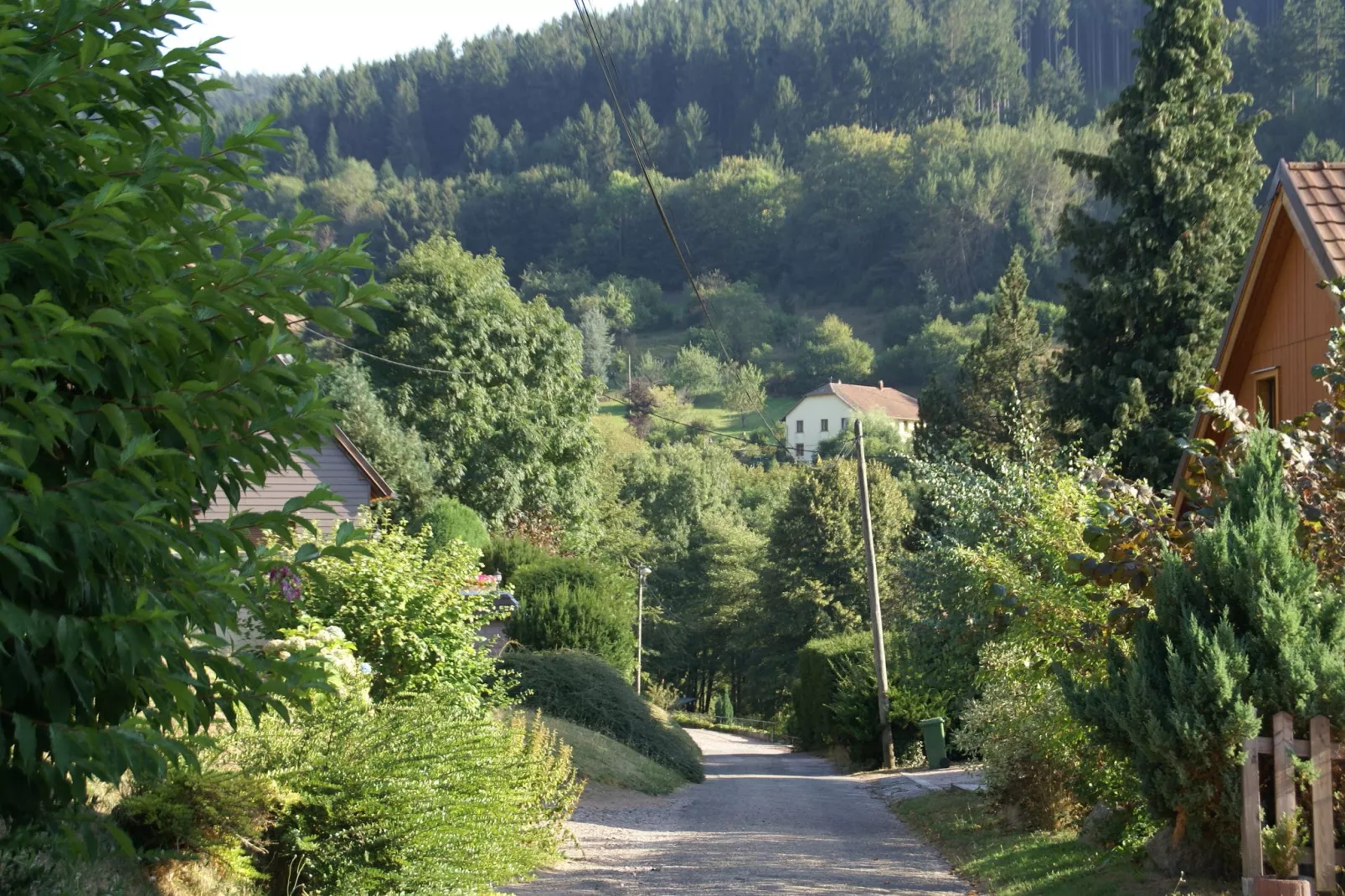 Maison de vacances - NATZWILLER-Gebieden zomer 1km