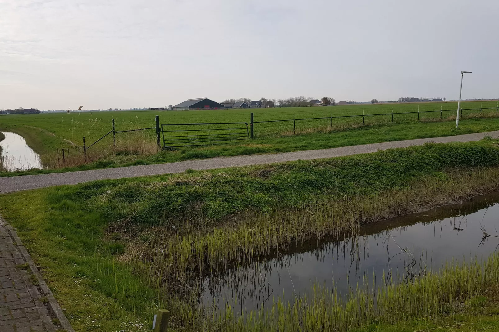 Recreatiepark de Friese Wadden 16-Uitzicht zomer