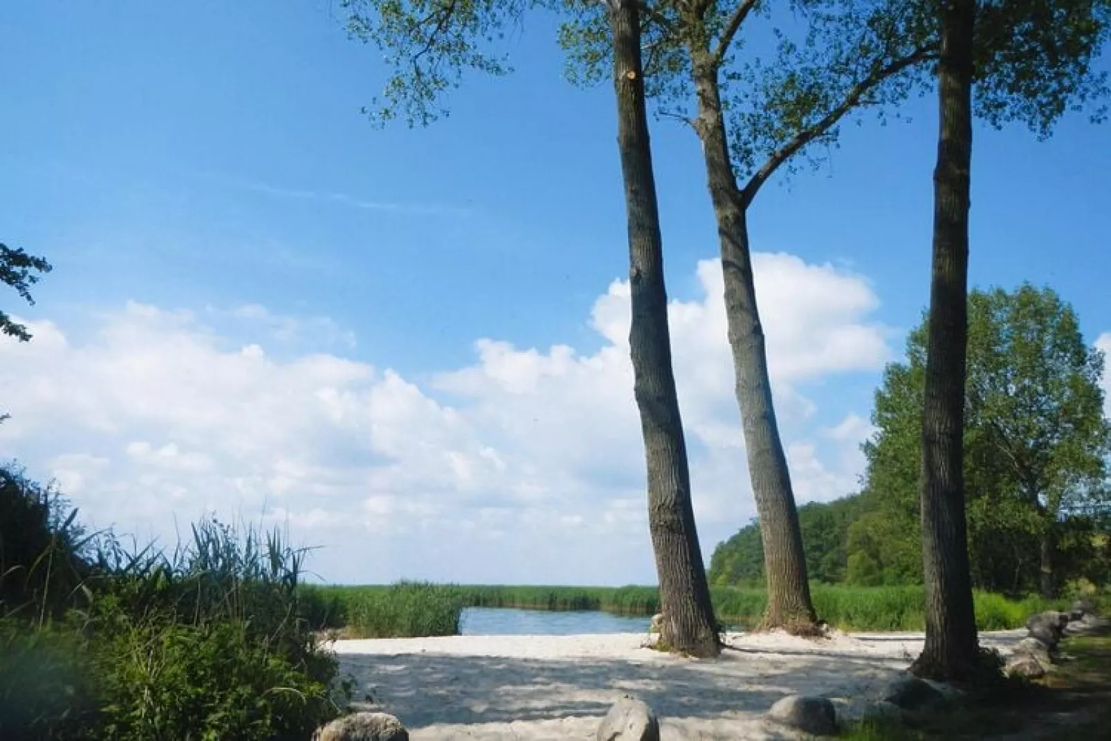 Ferienhaus Lotosblume-Niet-getagd