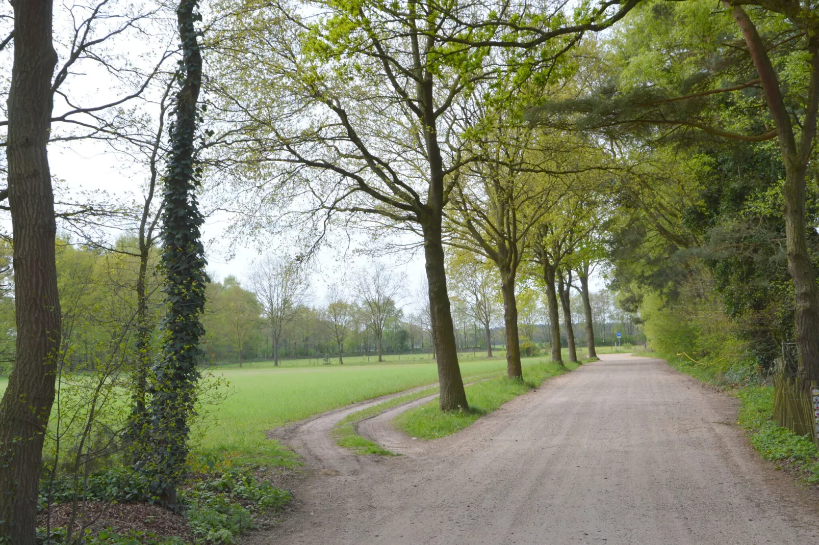 Vosseven 73 Maretak-Gebieden zomer 5km