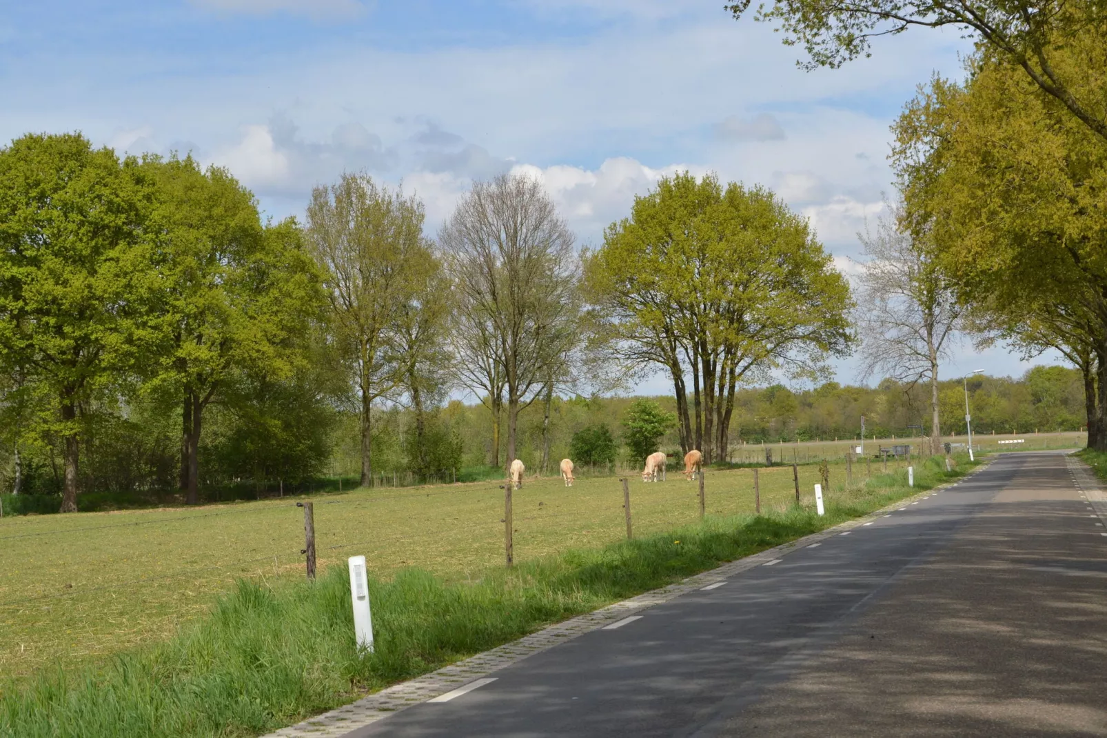 Vosseven 73 Maretak-Gebieden zomer 5km