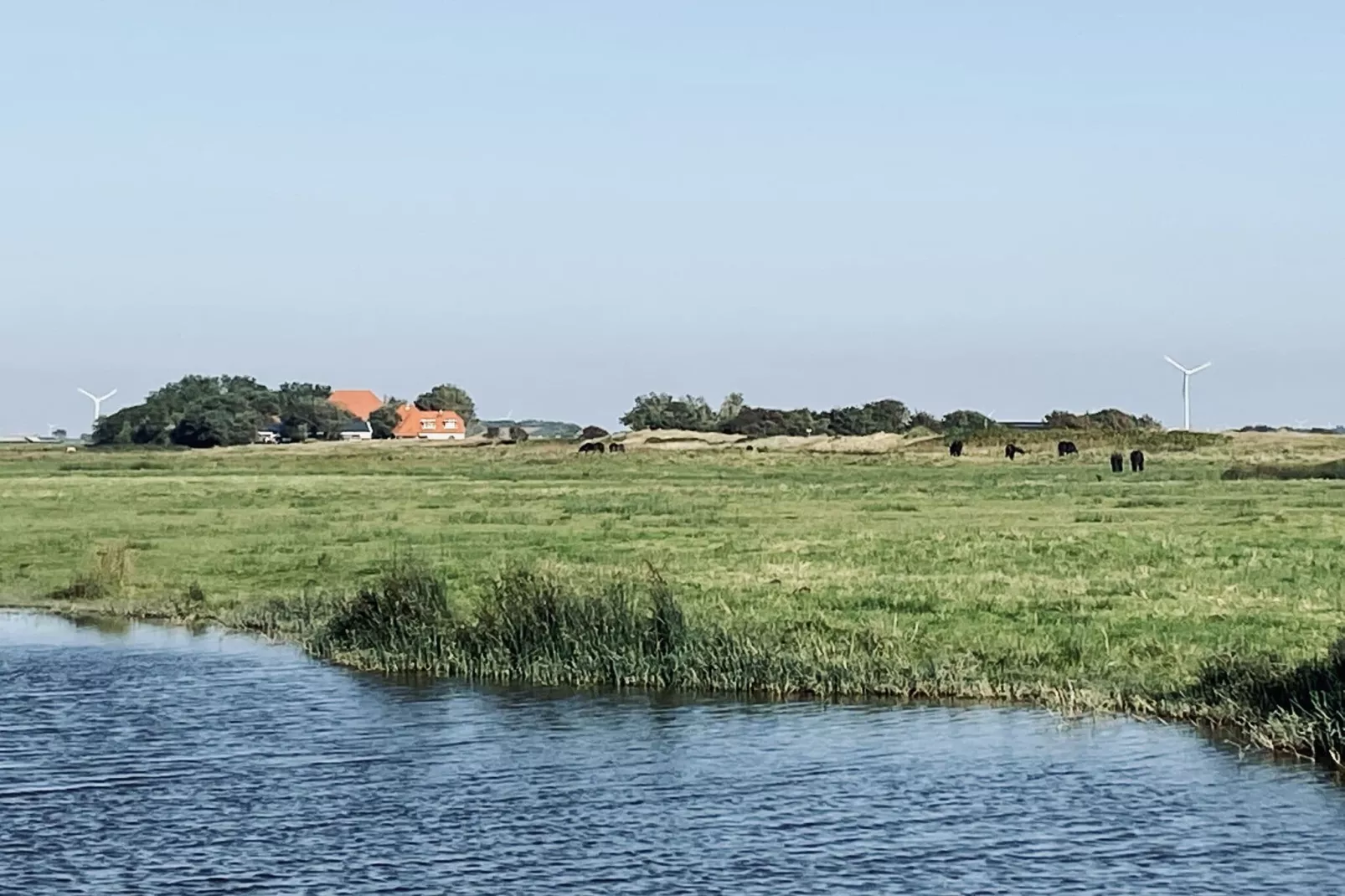 De Biotoop-Gebieden zomer 1km