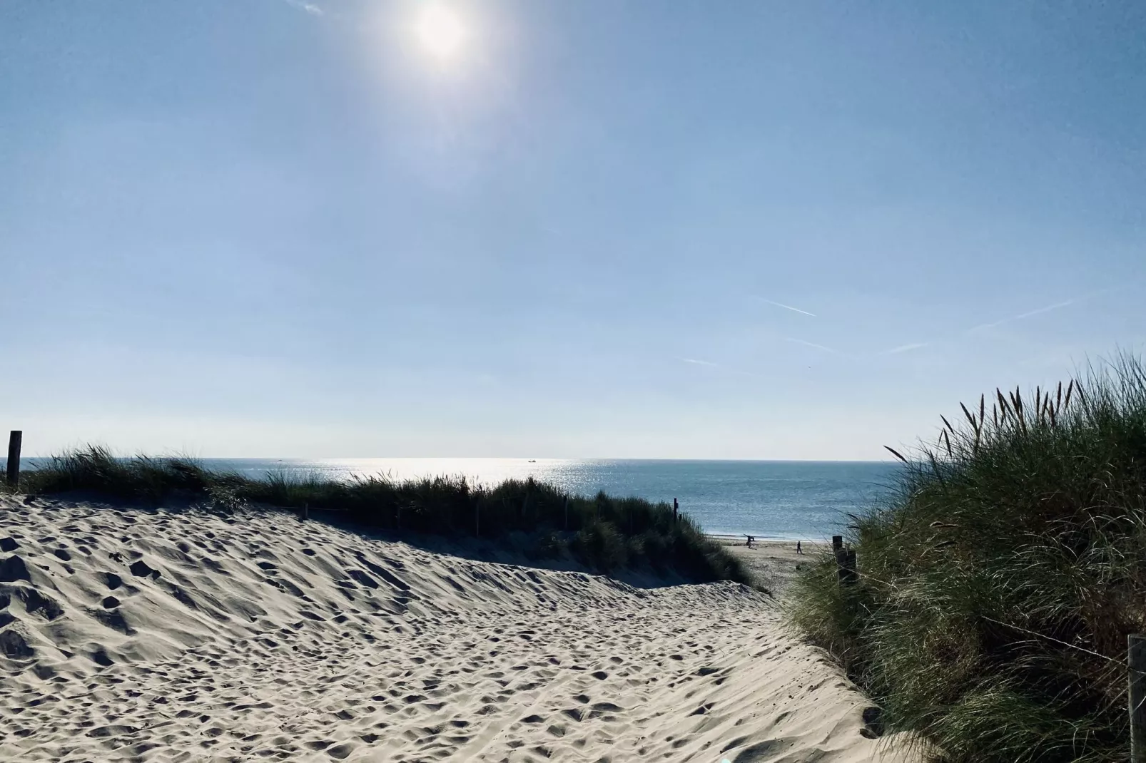 De Biotoop-Gebieden zomer 1km