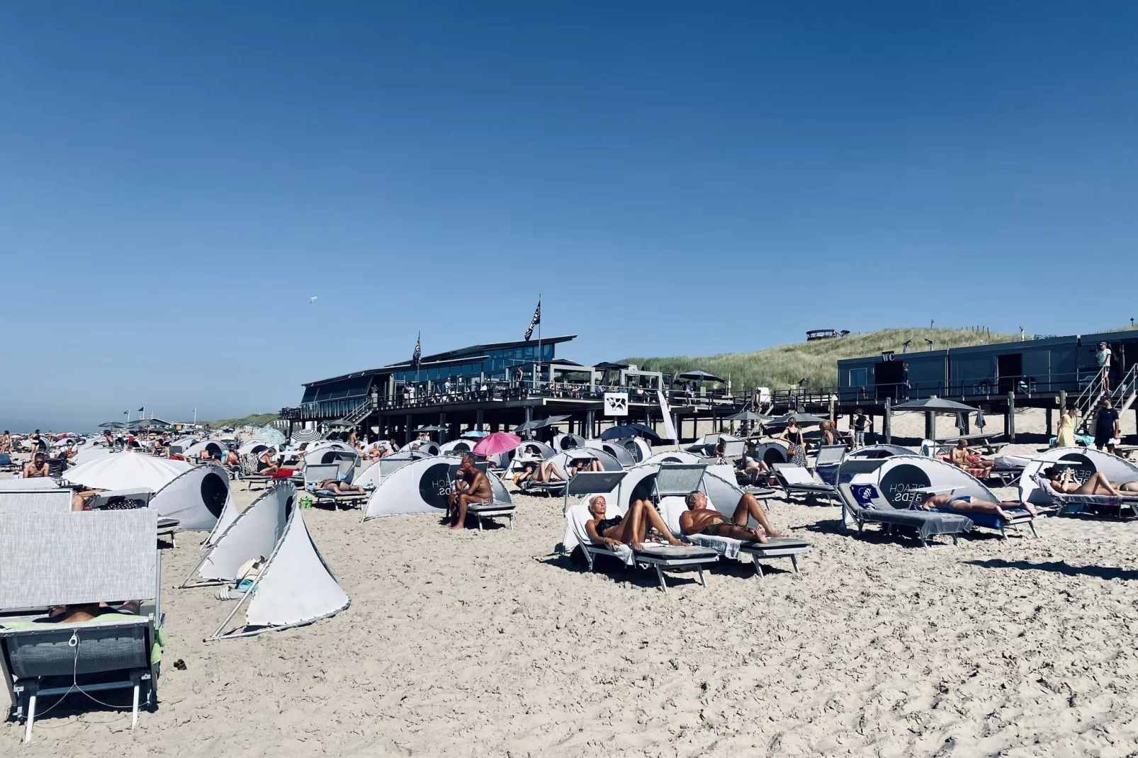 De Biotoop-Gebieden zomer 1km