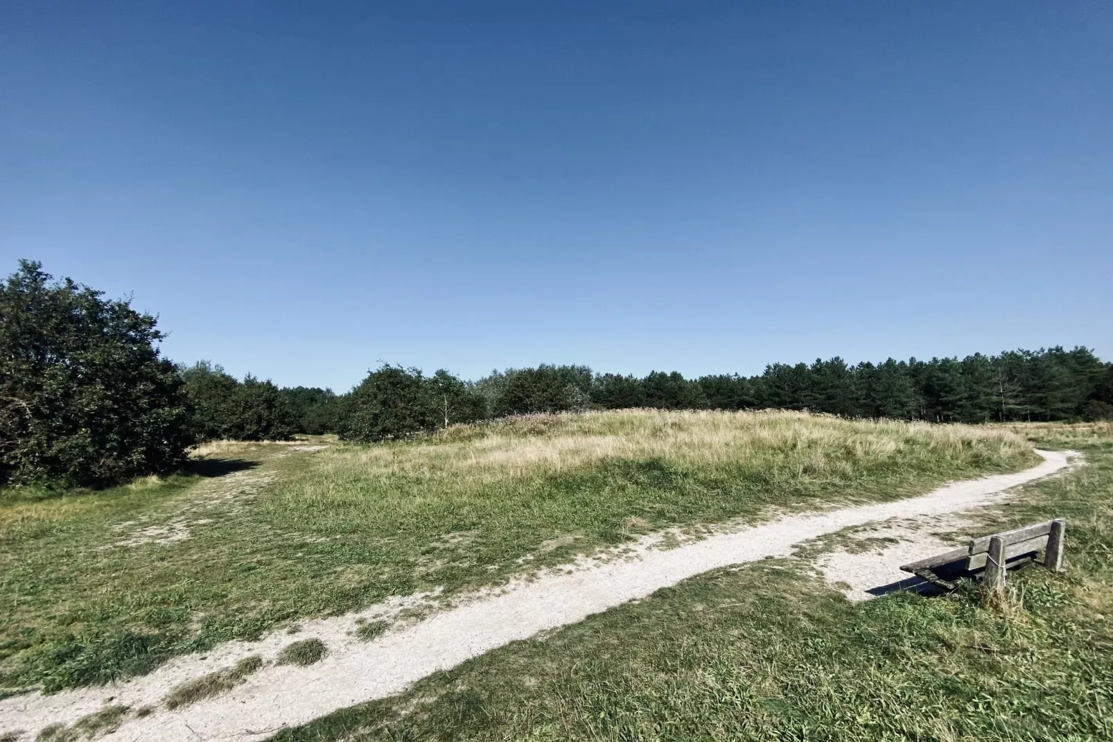 De Biotoop-Gebieden zomer 1km