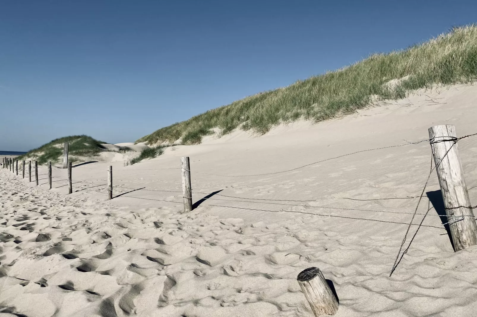 De Biotoop-Gebieden zomer 1km