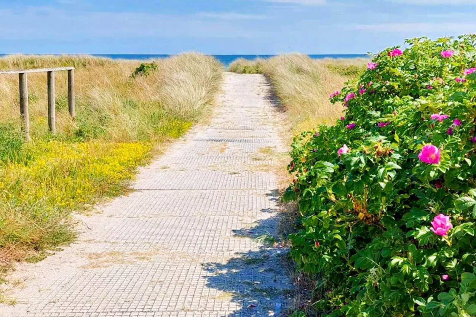 5 sterren vakantie huis in Sæby-Uitzicht