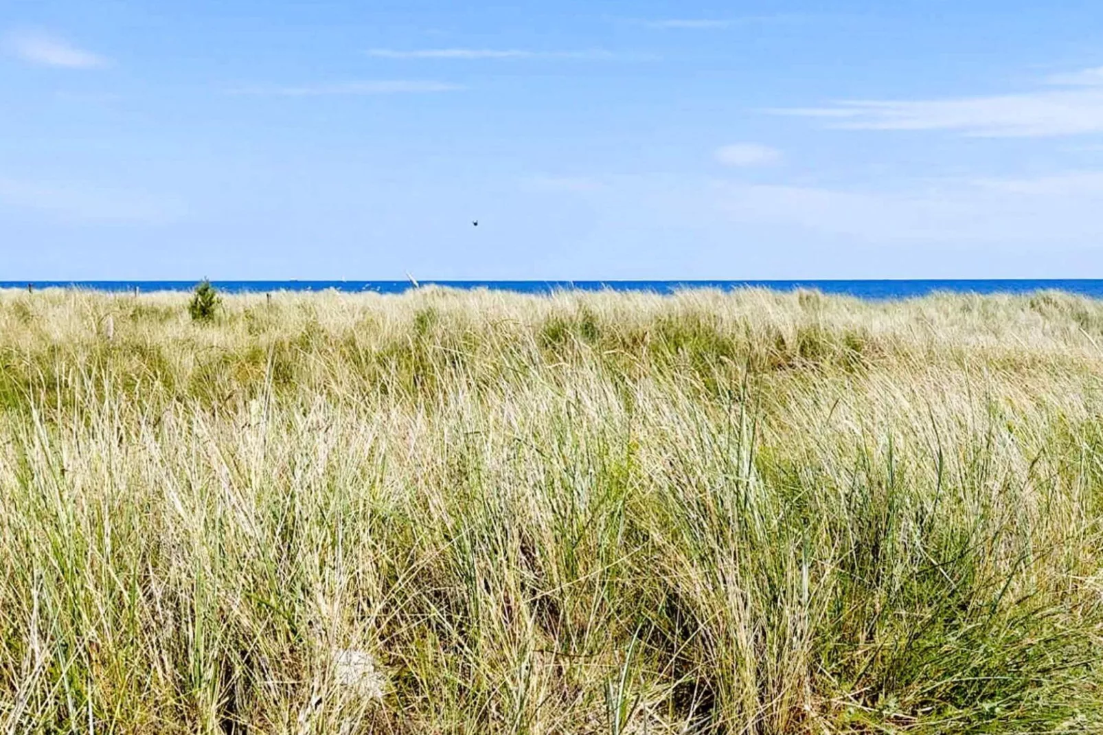 5 sterren vakantie huis in Sæby-Uitzicht