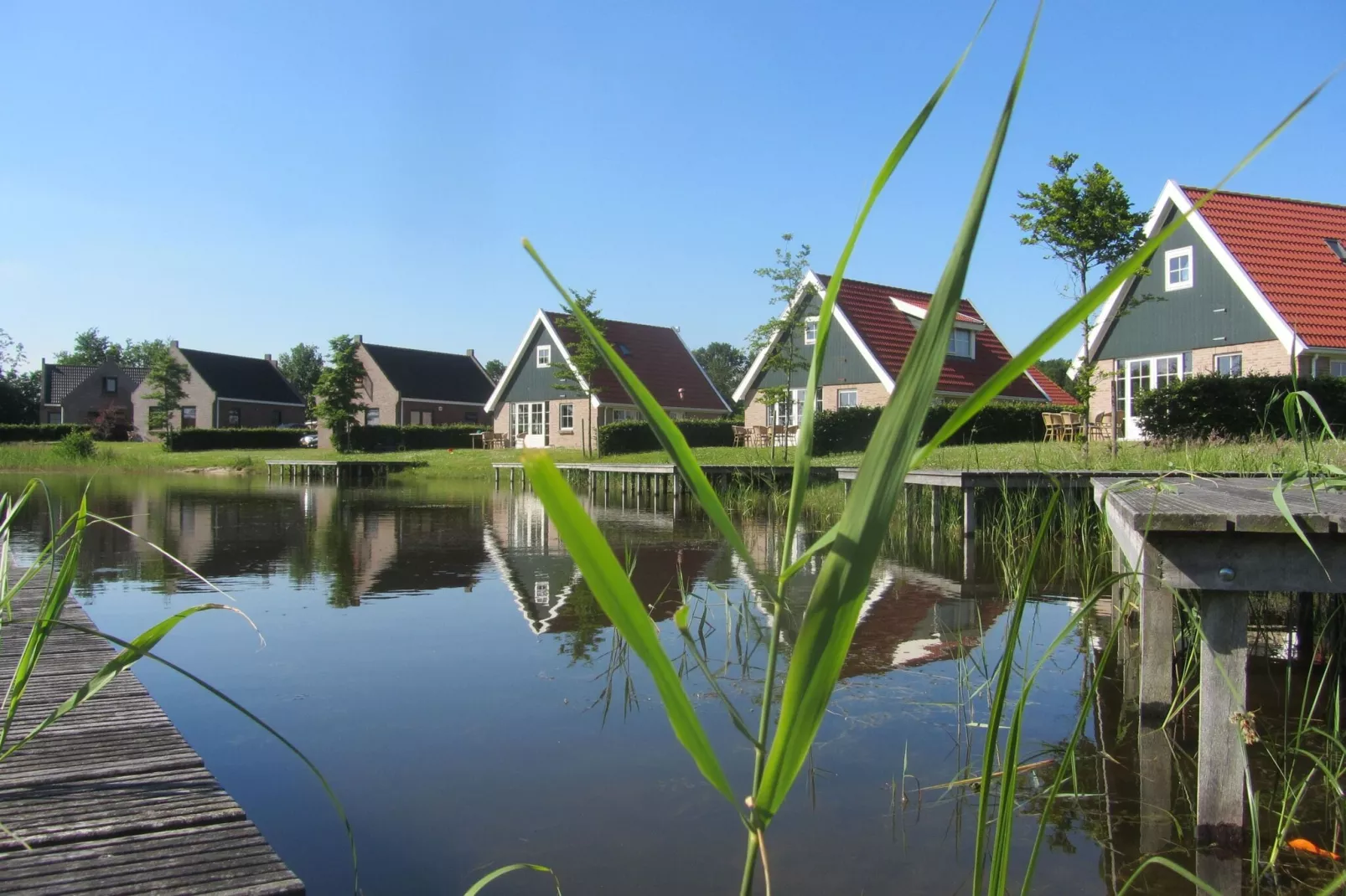 Vakantiepark Eigen Wijze 5-Buitenkant zomer