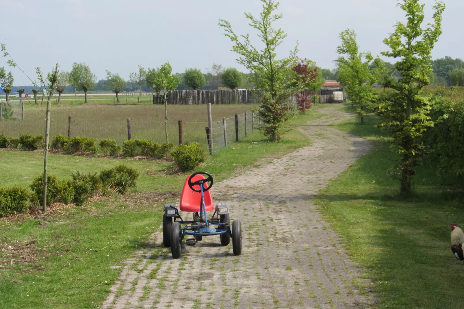 Vakantiepark Eigen Wijze 5-Gebieden zomer 1km