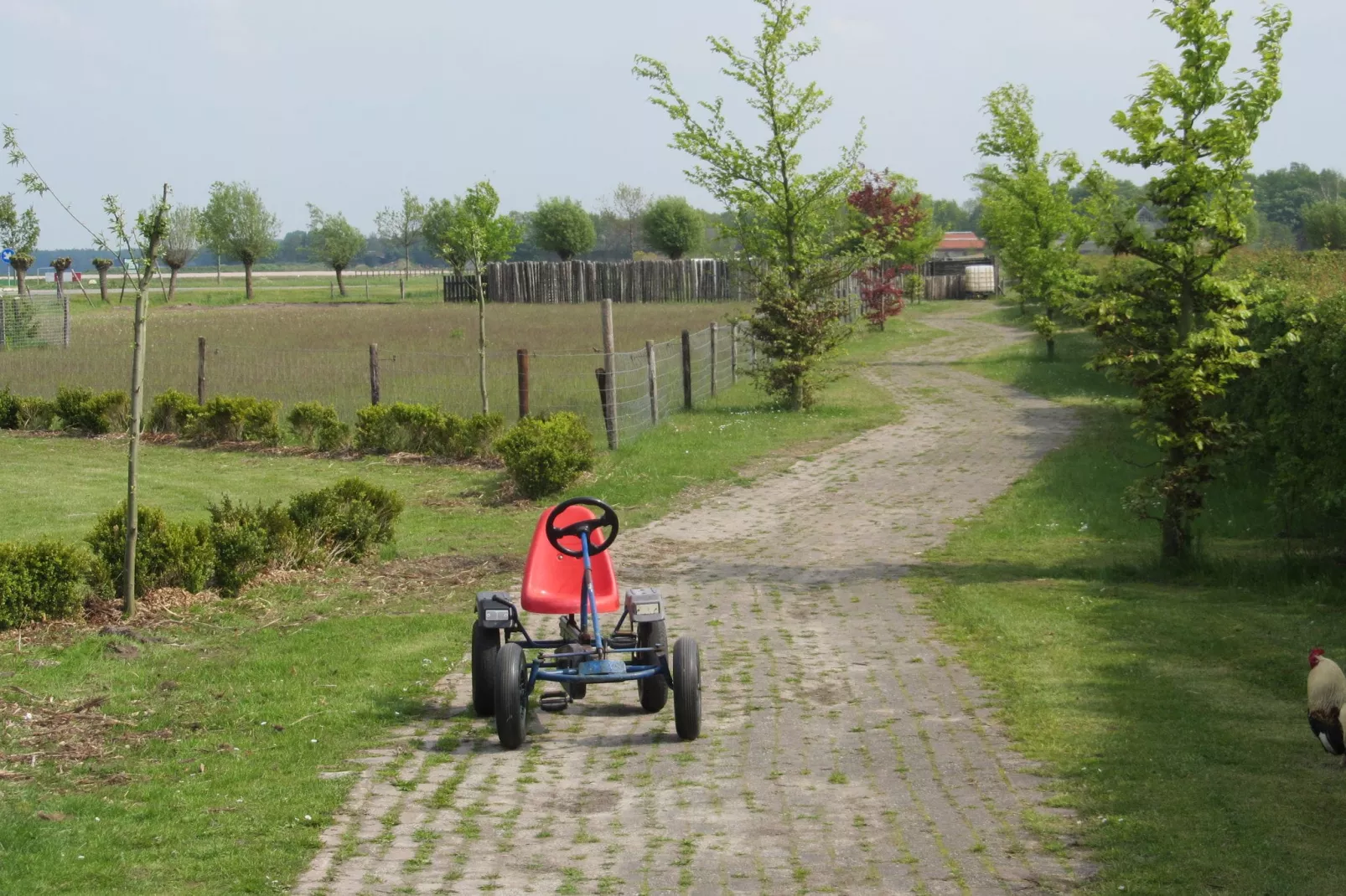 Vakantiepark Eigen Wijze 3-Gebieden zomer 1km