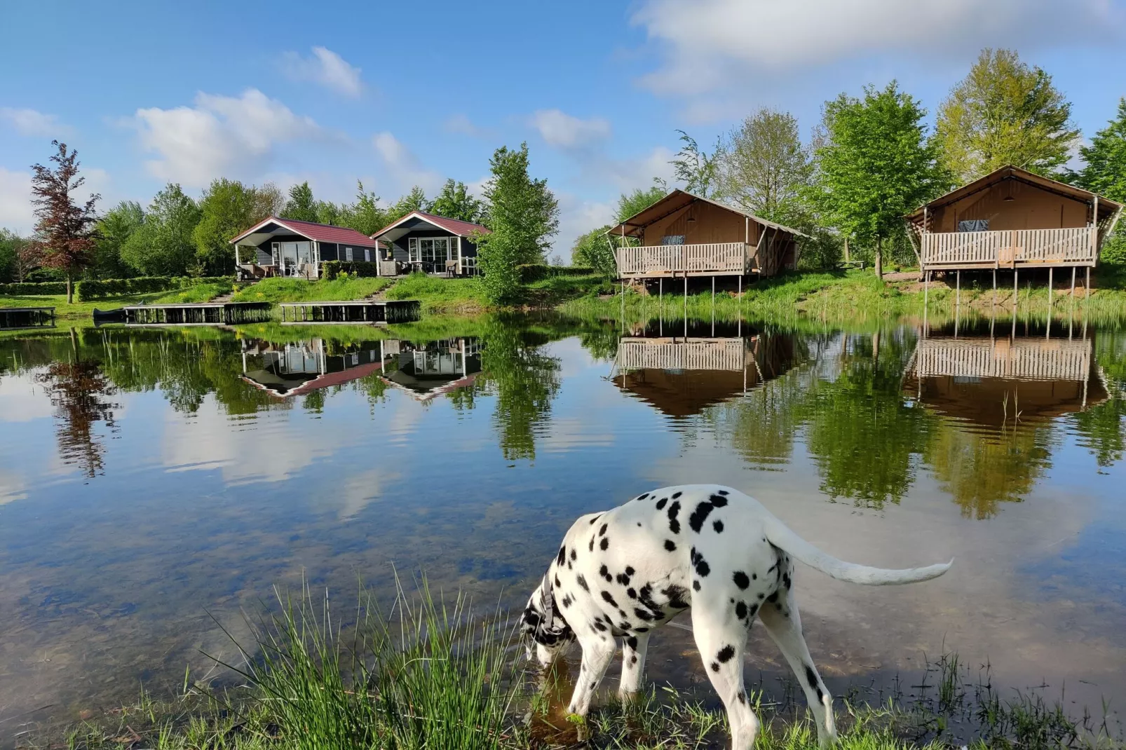 Vakantiepark Eigen Wijze 8-Buitenkant zomer