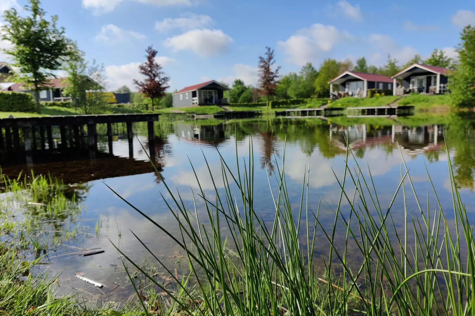 Vakantiepark Eigen Wijze 8-Gebieden zomer 1km