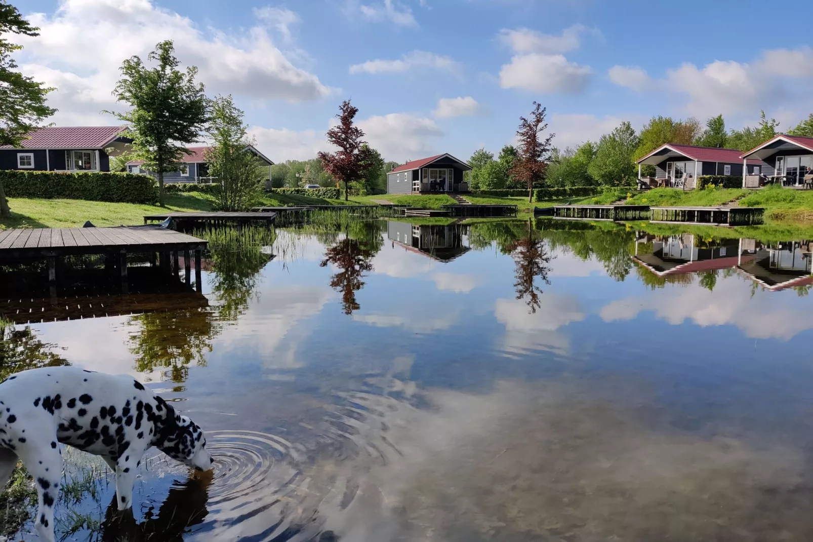 Vakantiepark Eigen Wijze 8-Gebieden zomer 1km