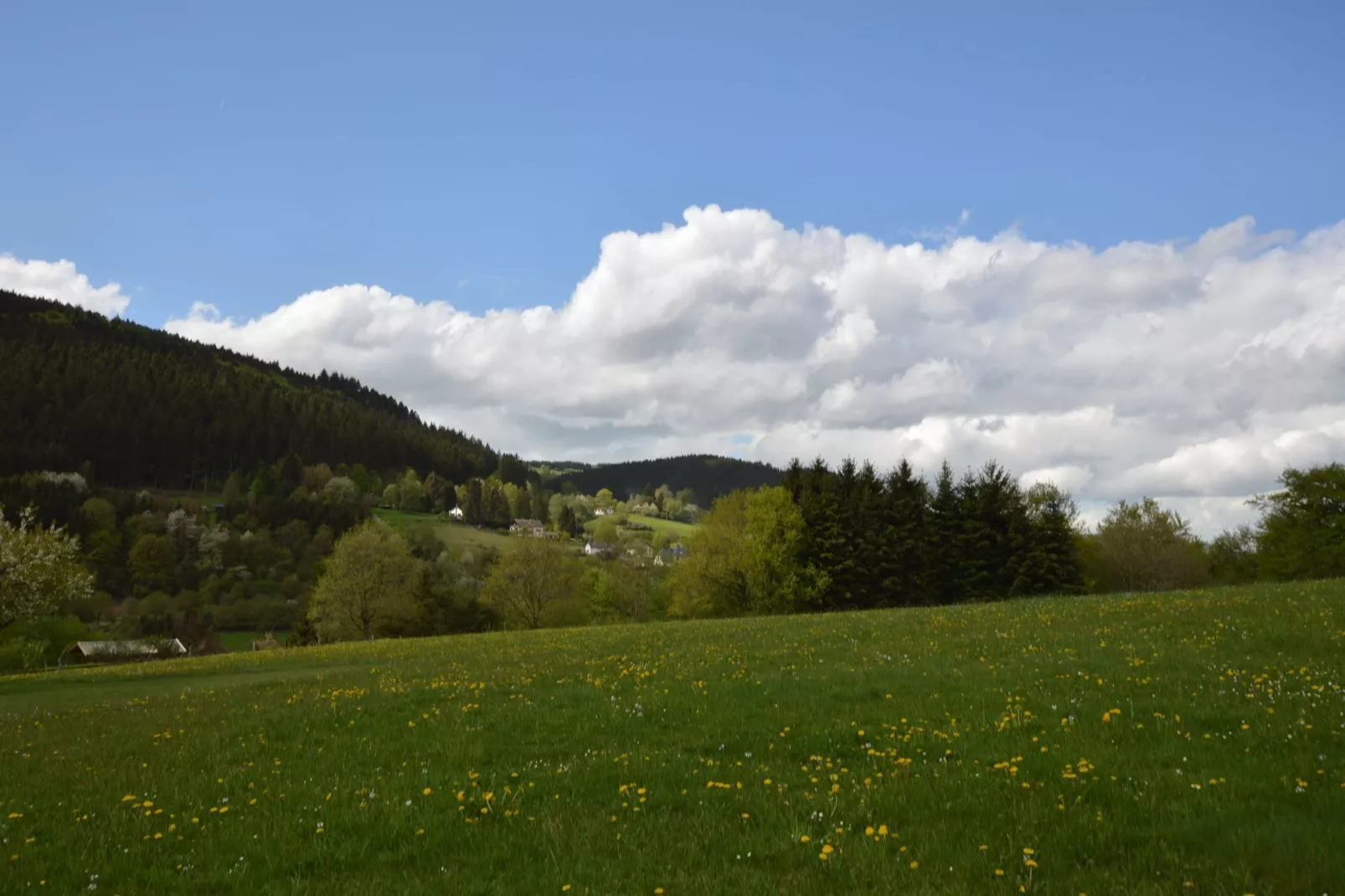 Im Schönen Kylltal-Uitzicht zomer