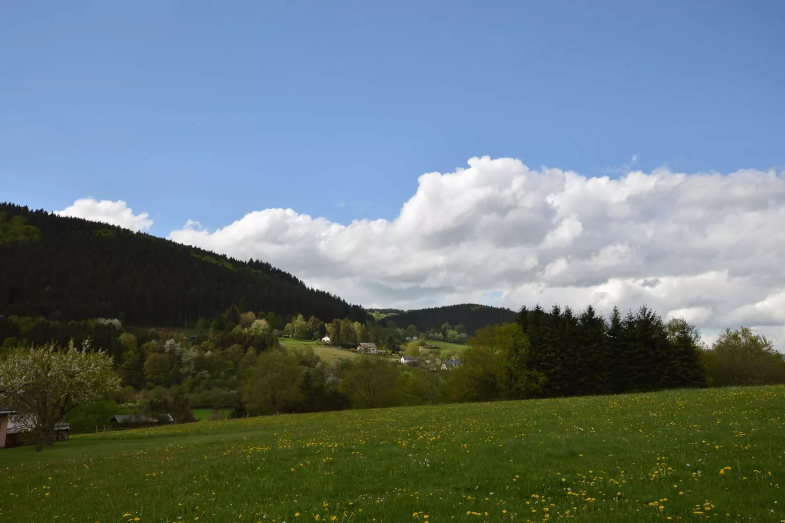 Im Schönen Kylltal-Uitzicht zomer