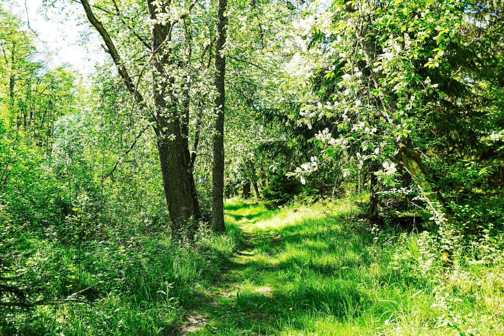 7 persoons vakantie huis in GRÄSÖ-Niet-getagd