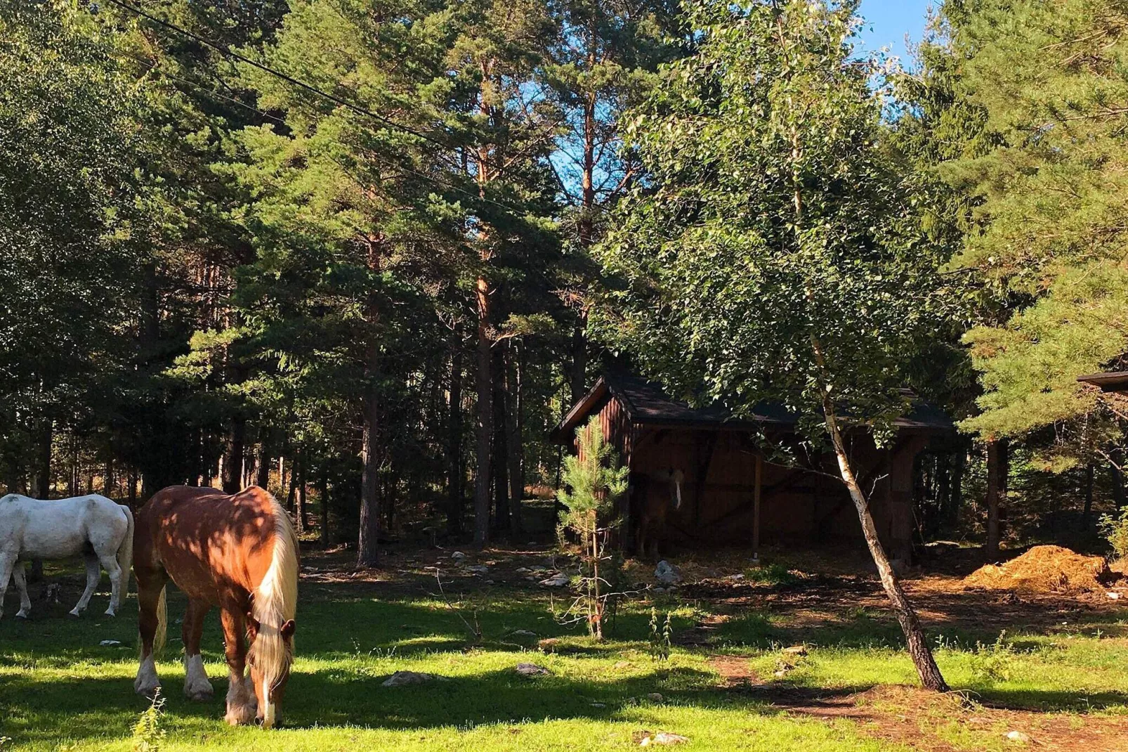 7 persoons vakantie huis in GRÄSÖ-Niet-getagd