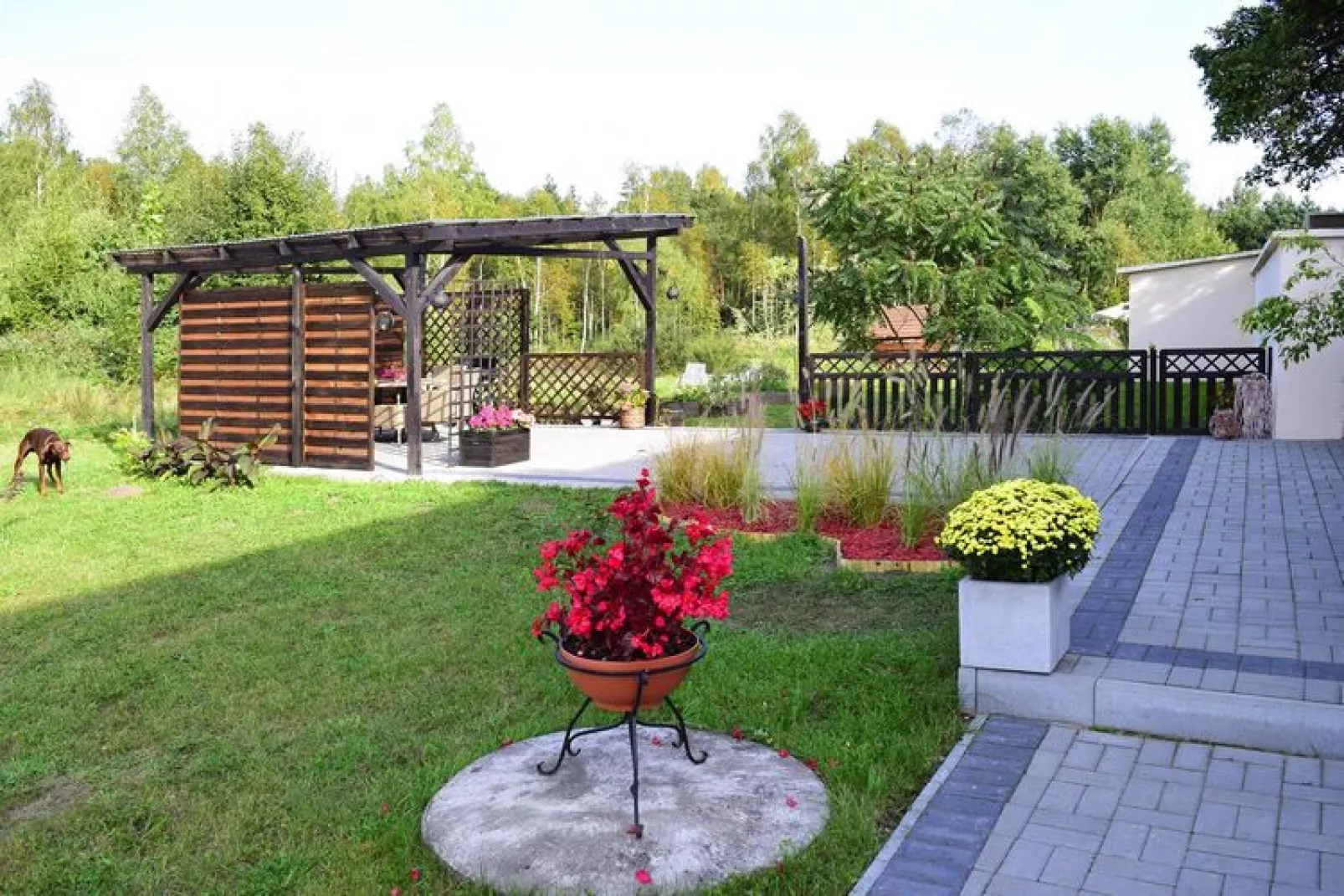 Holiday flat in Kamien-Tuinen zomer