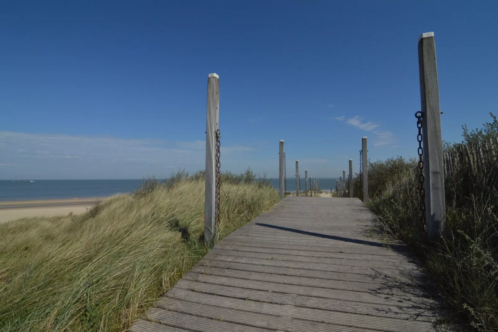 Knook-Gebieden zomer 1km