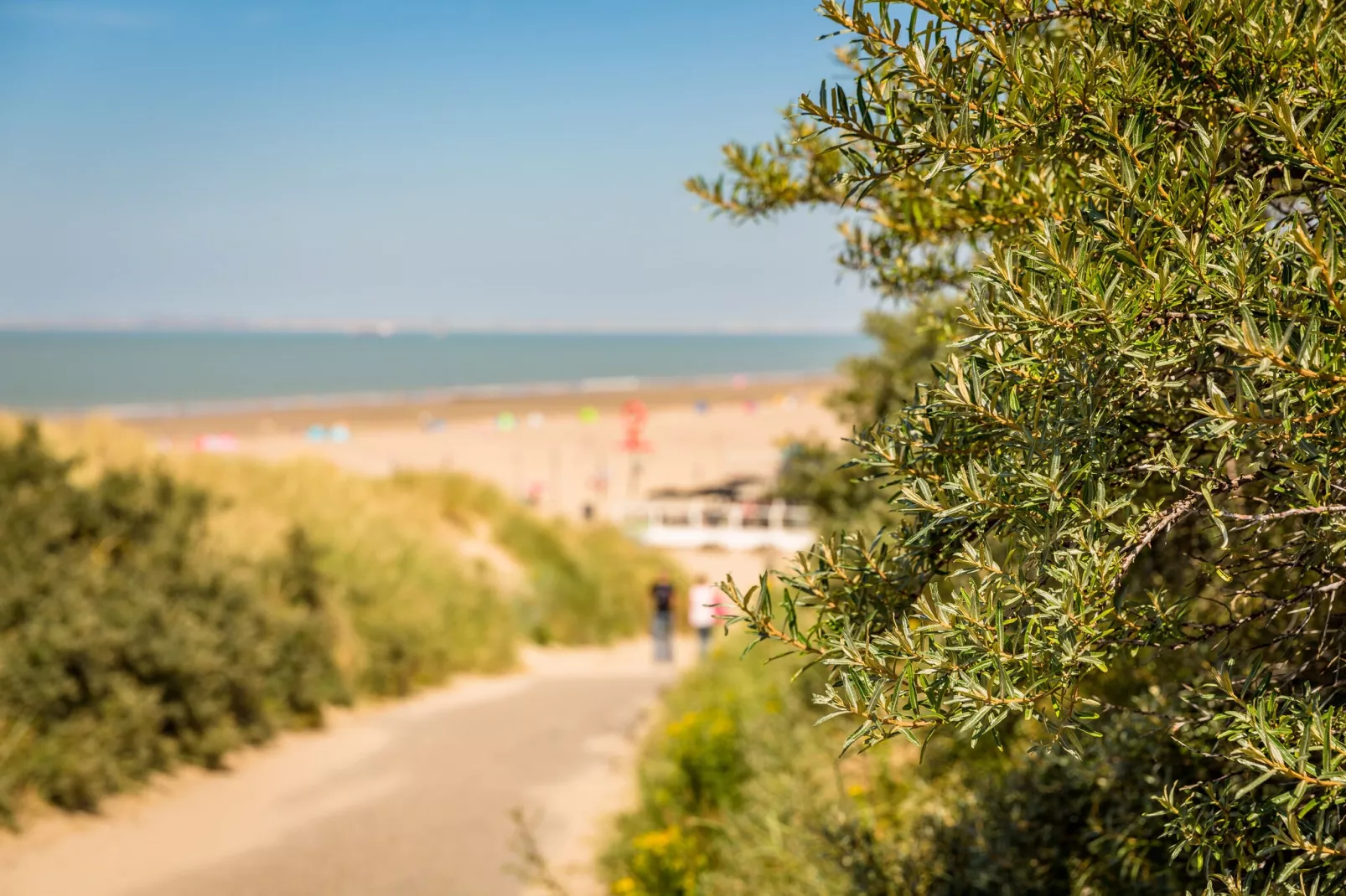 Beach Resort Nieuwvliet-Bad 1-Parkfaciliteiten