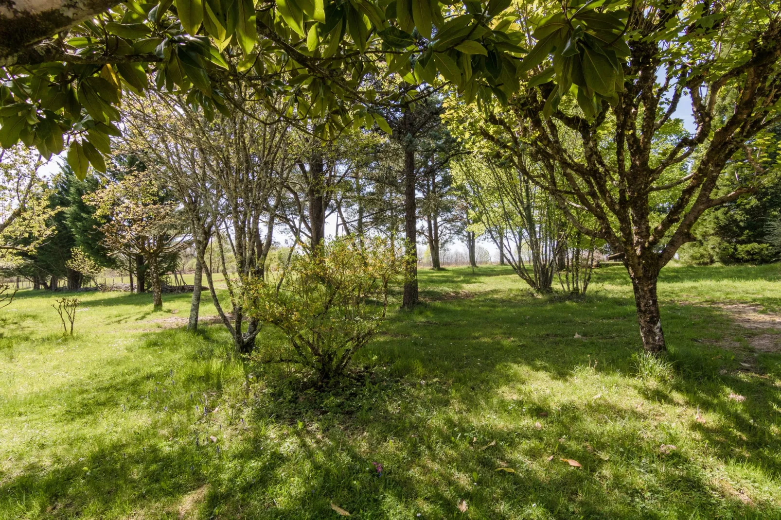 La Cipière - L'Hirondelle-Tuinen zomer